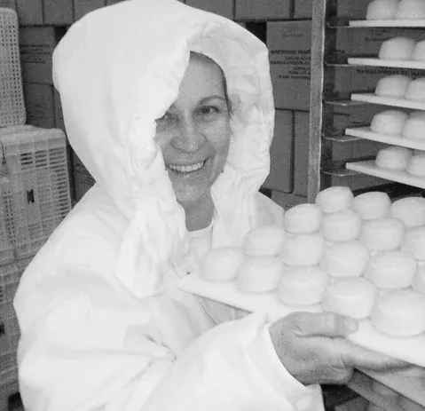 Tela do projeto da Mineirinho Pão de Queijo
